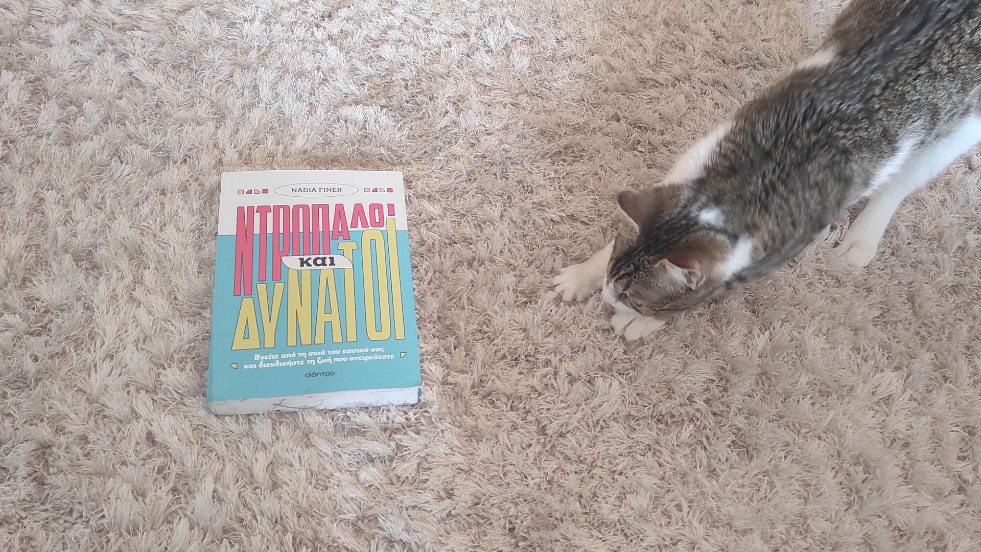 Ντροπαλοί και δυνατοί