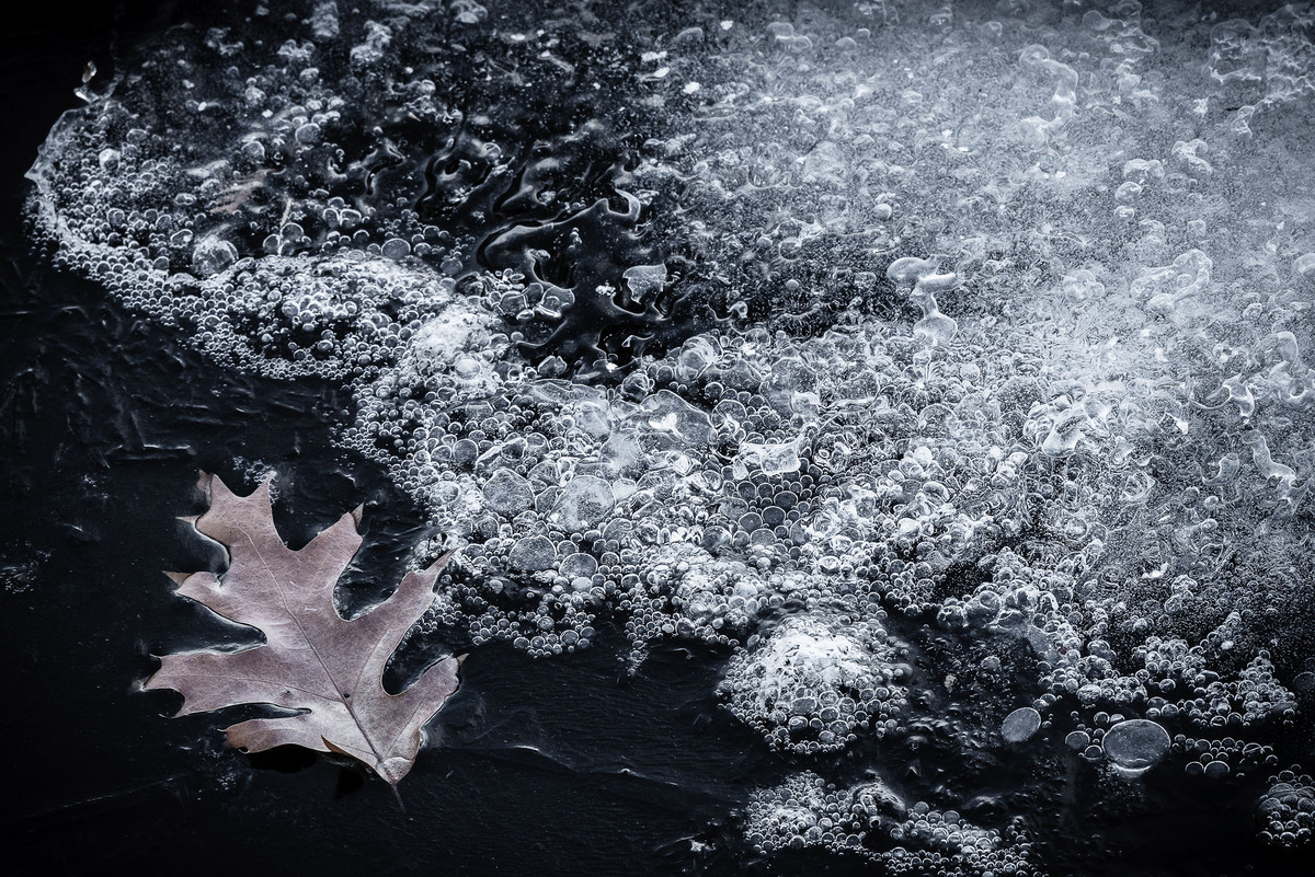 Stephen Starkman φωτογραφίες και καρκίνος