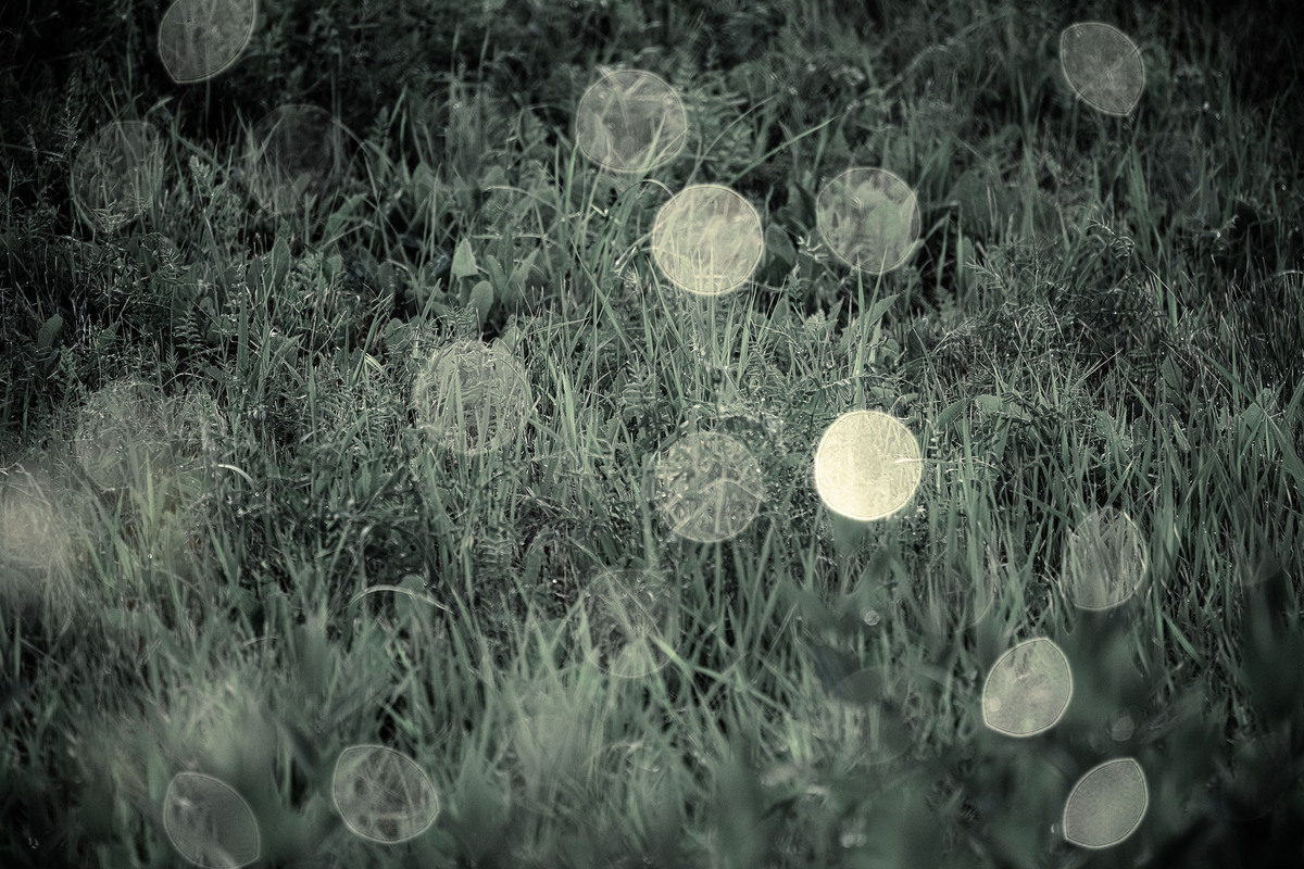 Stephen Starkman, φωτογραφίες και καρκίνος