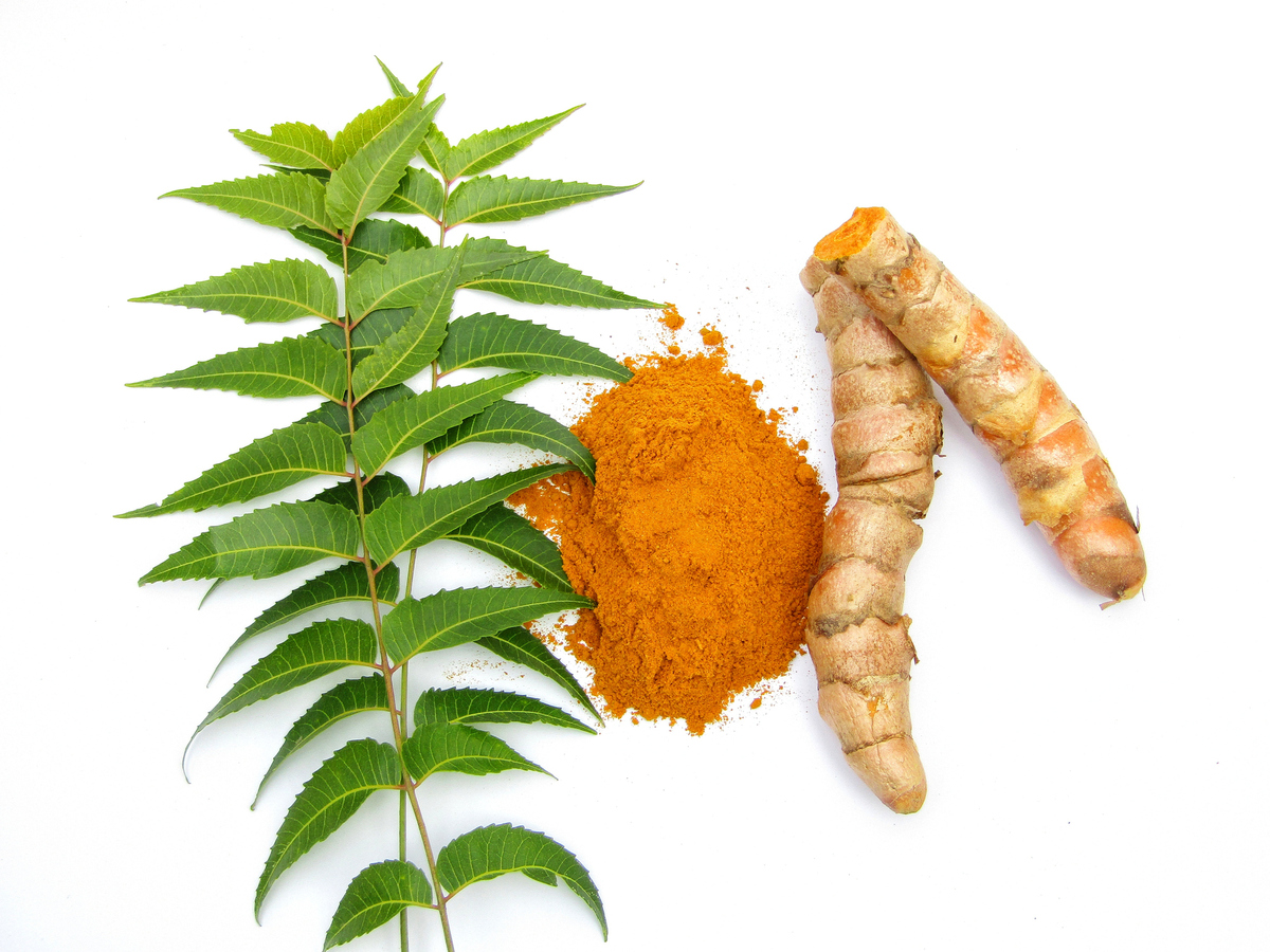 Μήπως το μυστικό κατά της ακμής κρύβεται στην αγιουρβέδα;