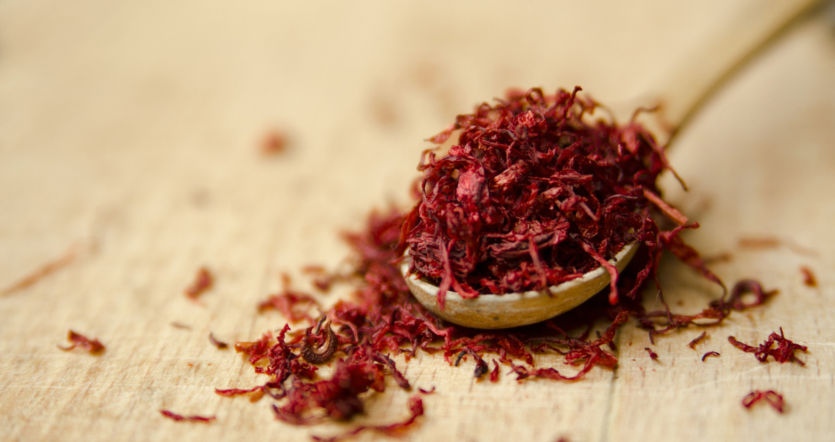 Βότανα και εγκέφαλος