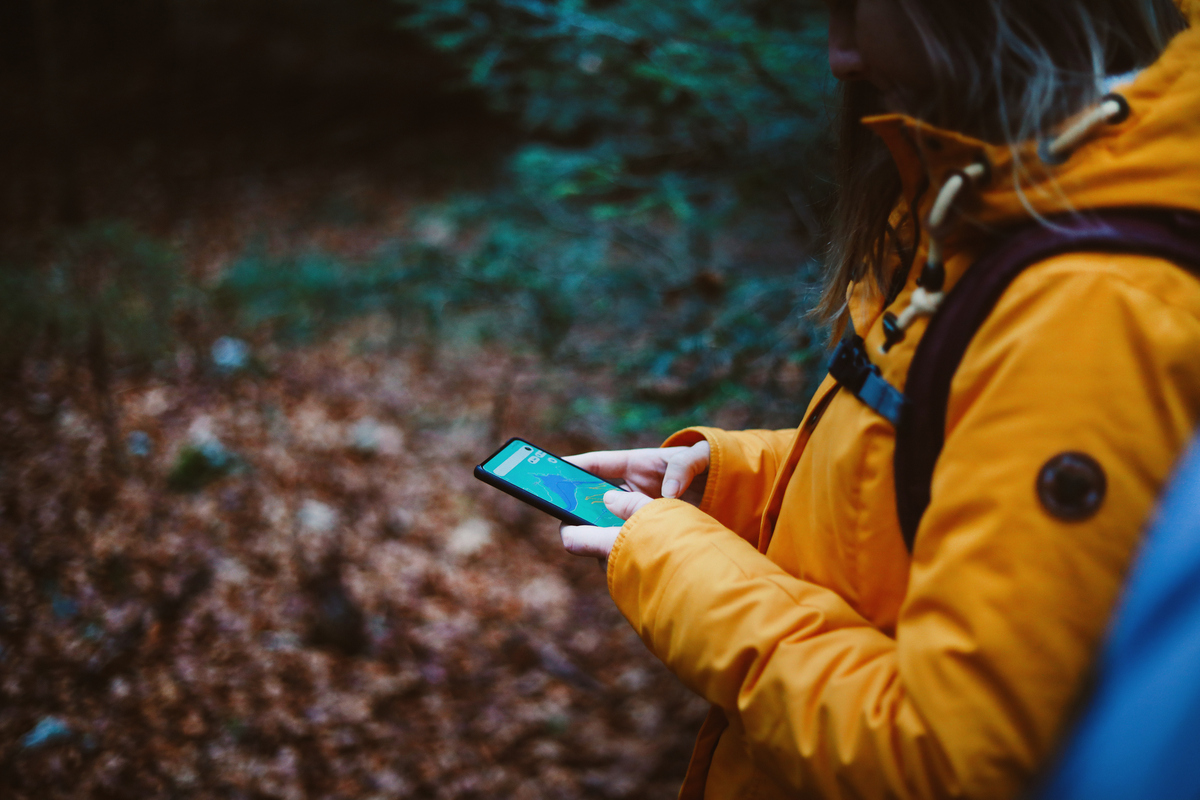 προσανατολισμός