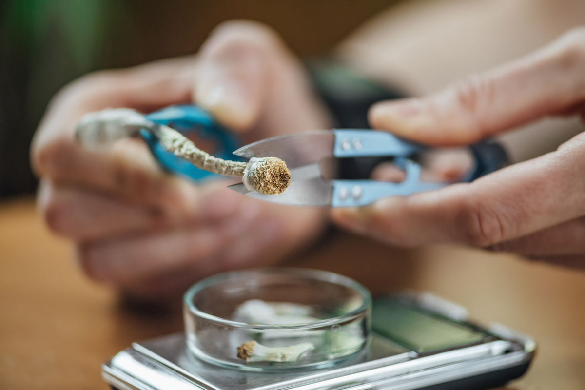 ψυχεδελικά