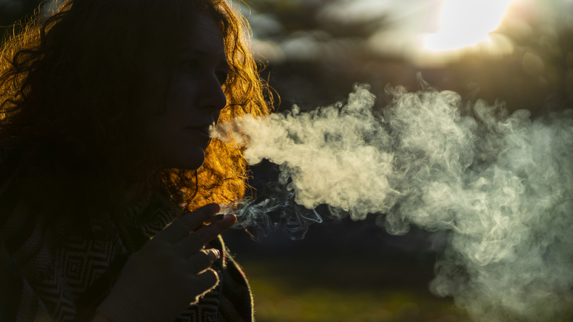 κάπνισμα σκύλος