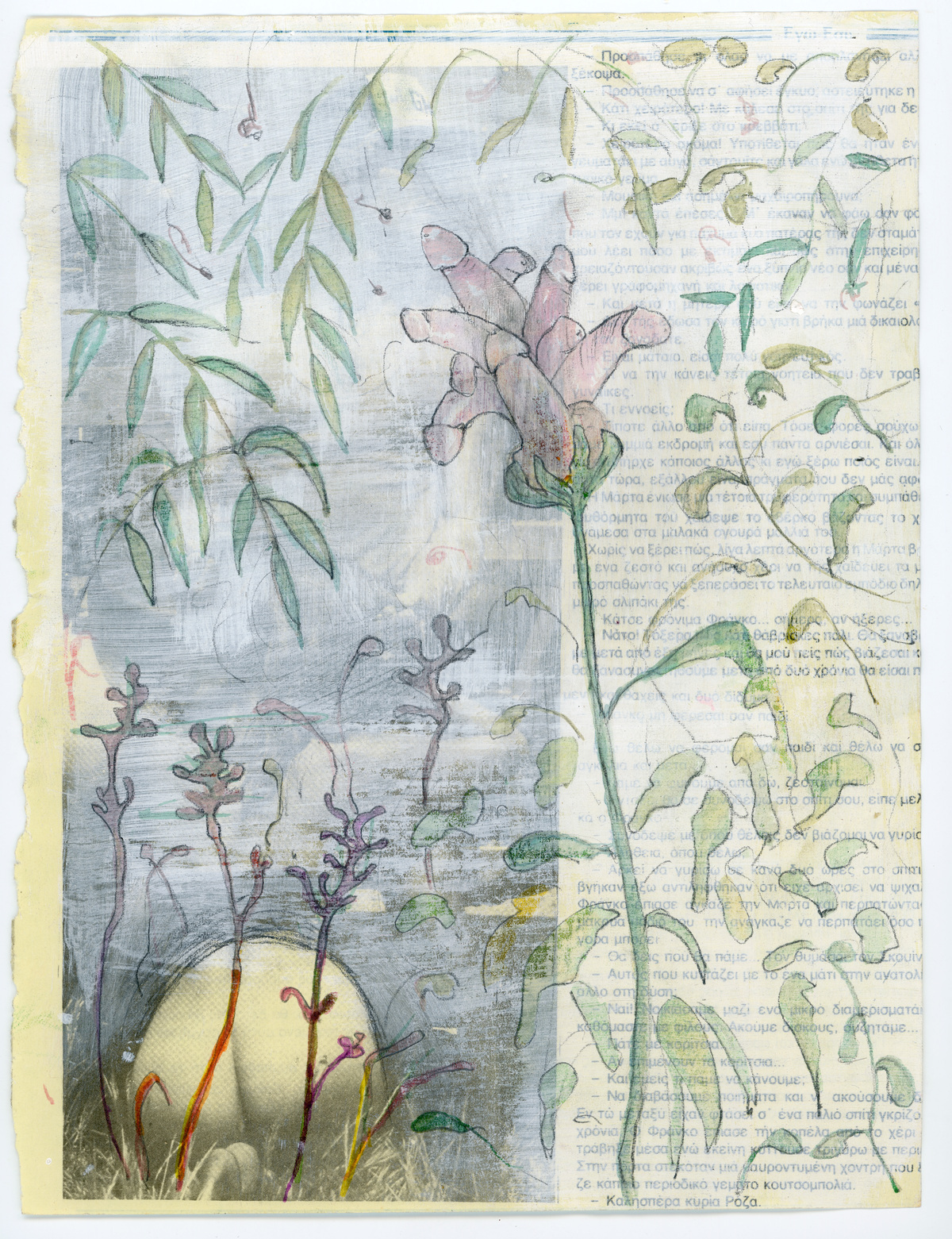 Ελένη Μπαγάκη