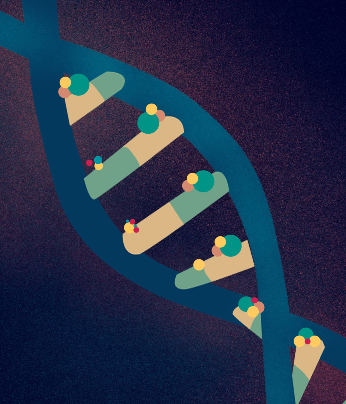 DNA κληρονομικότητα