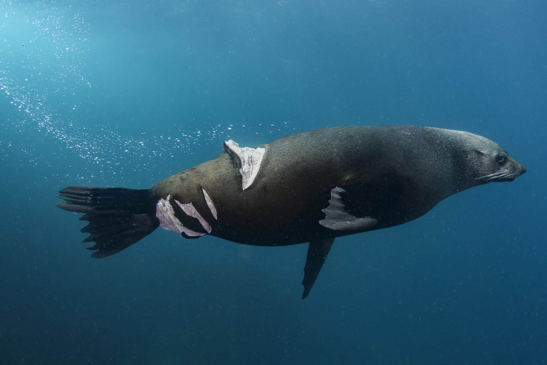 Οι ωραιότερες φωτογραφίας με θέμα τη φύση για το 2022