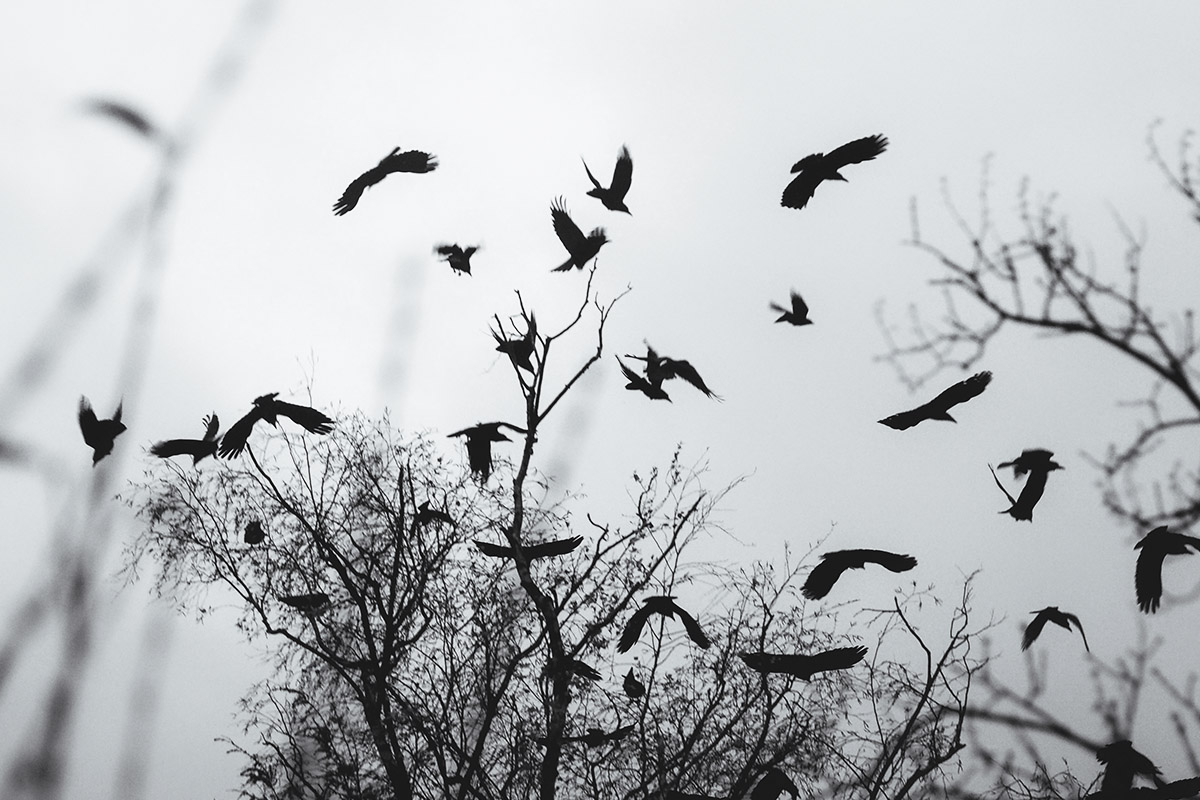 Εποχική κατάθλιψη