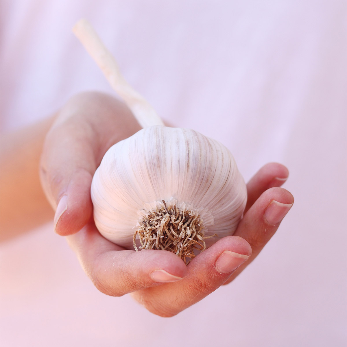 ξεφλούδισμα σκόρδου