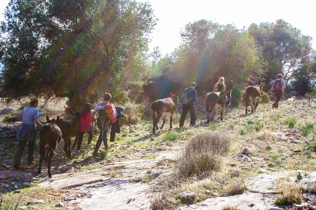 Γαϊδουροχώρα