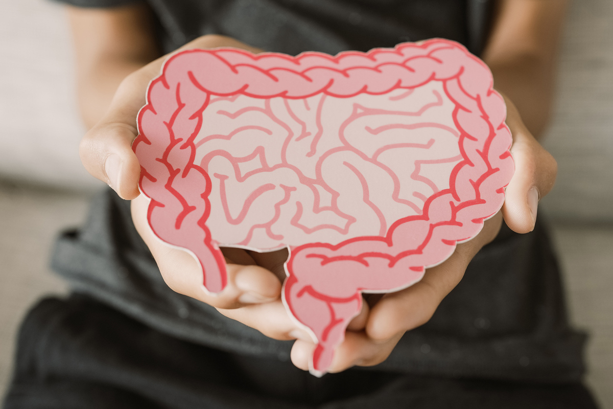 αναγέννηση οργάνων