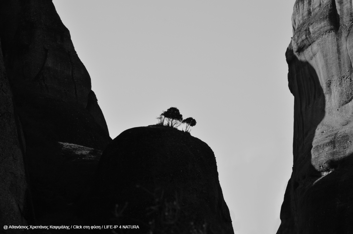 περιοχές Natura 2000