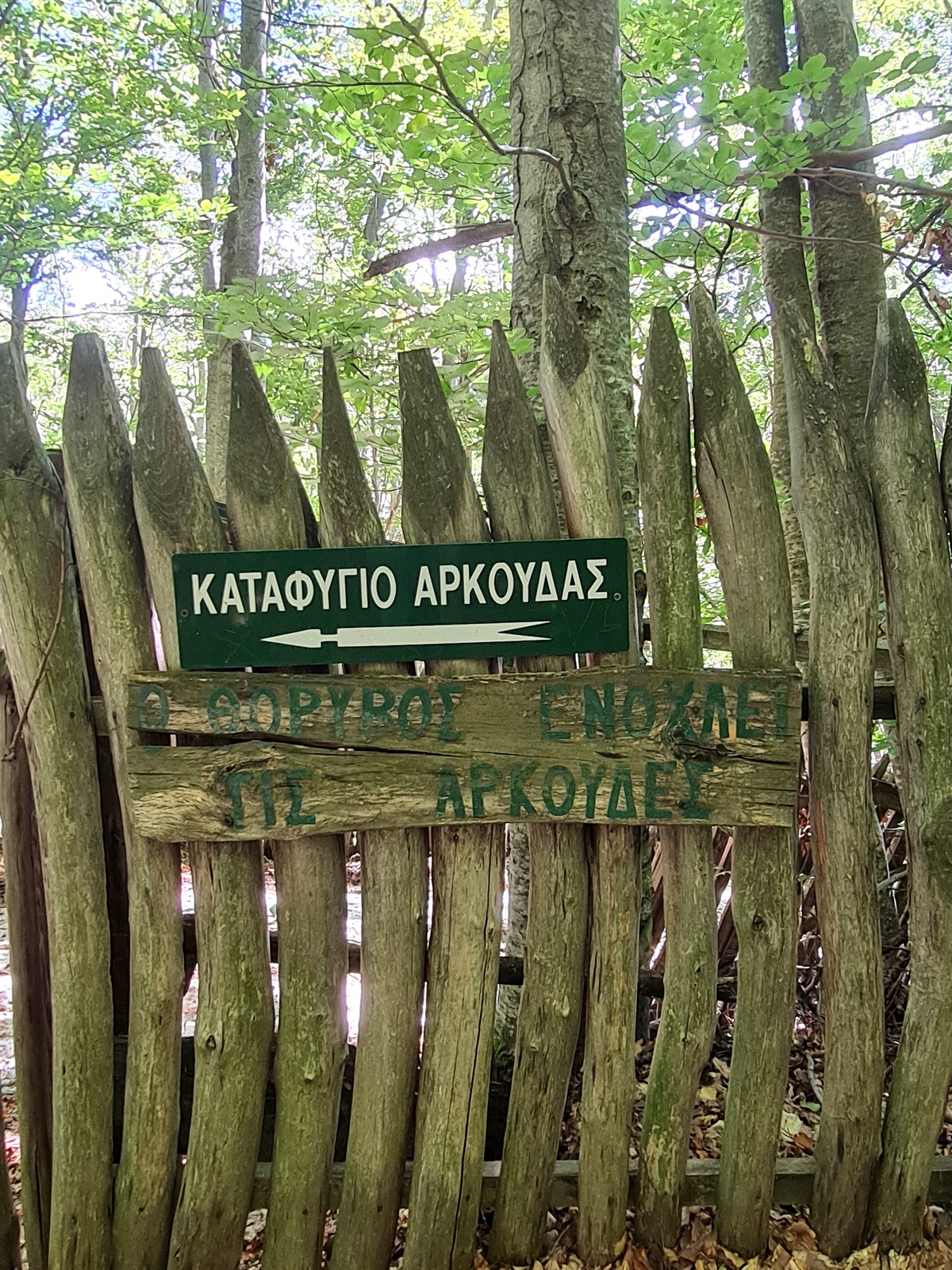 Είδαμε τις υπέροχες αρκούδες που φροντίζει ο Αρκτούρος στο Νυμφαίο