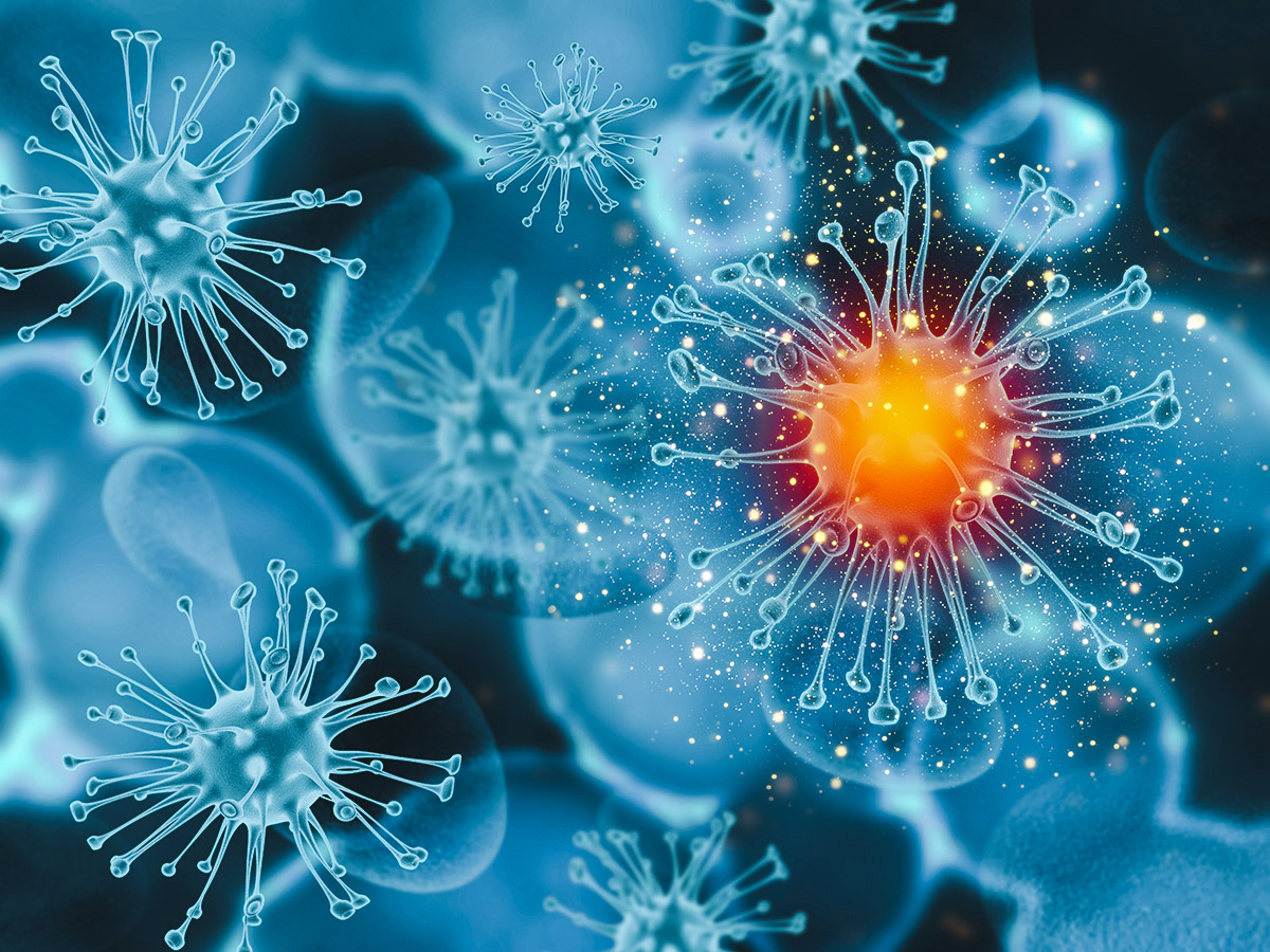 Υποπαραλλαγή Covid