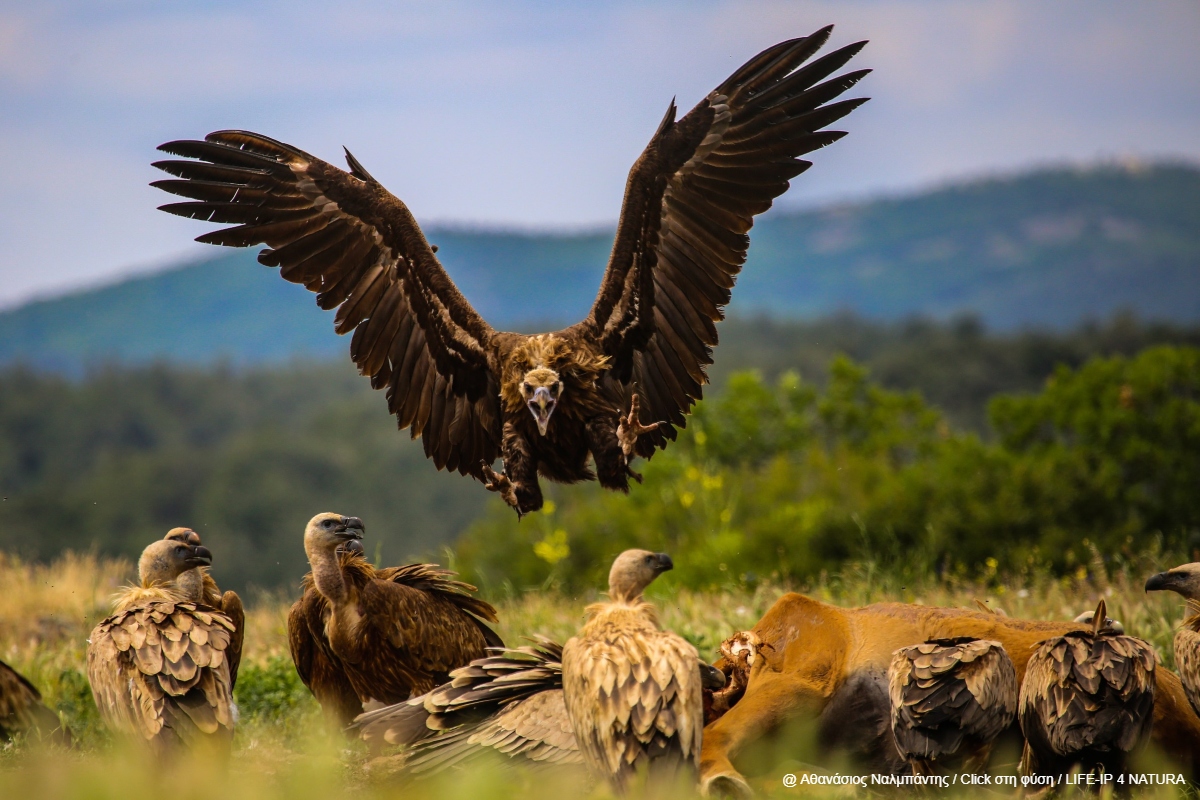 περιοχές Natura 2000