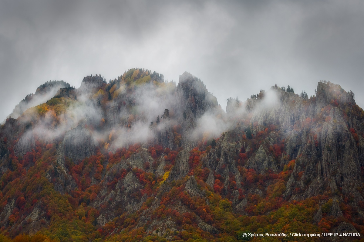 περιοχές Natura 2000