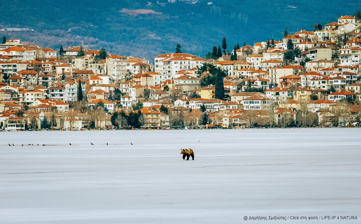περιοχές Natura 2000