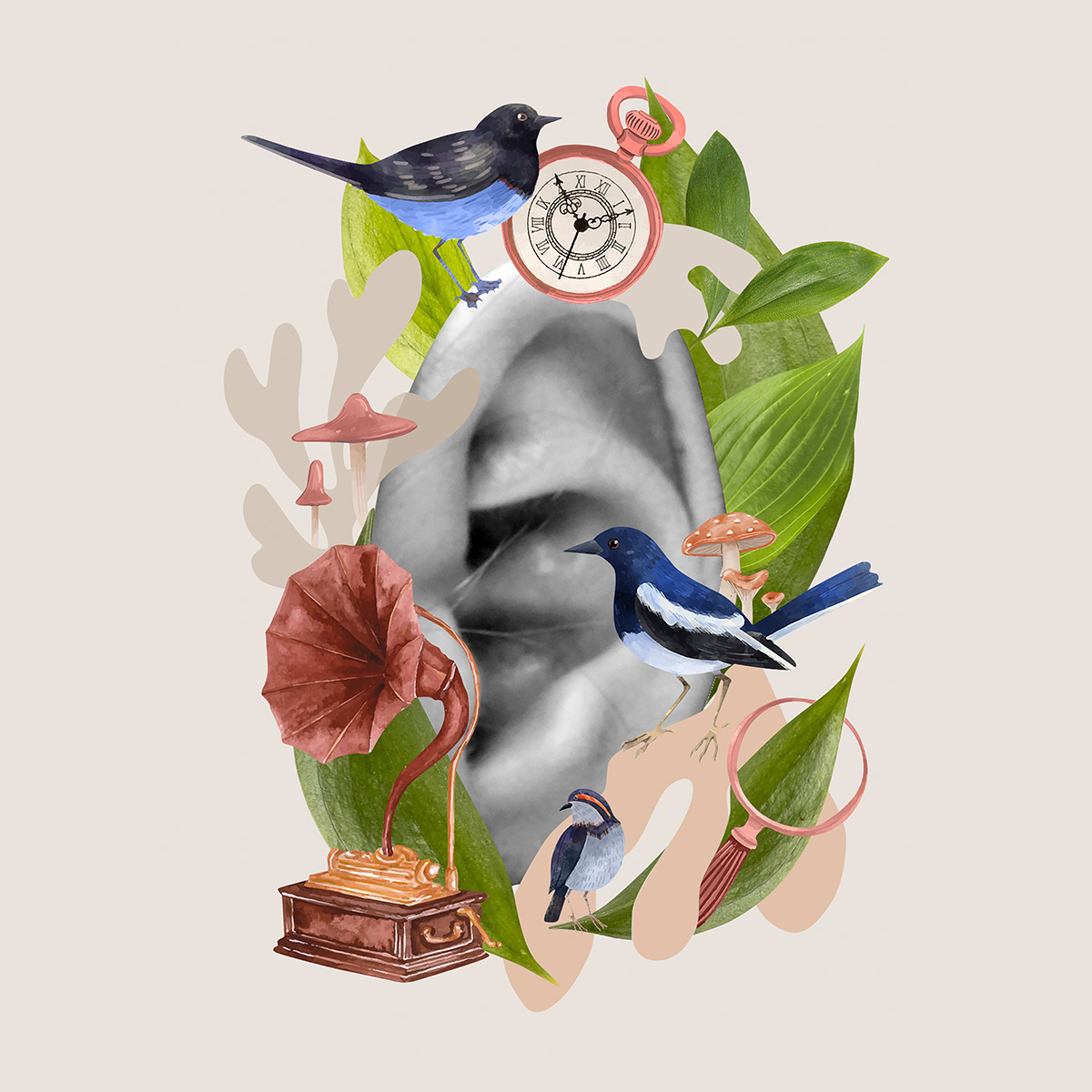 αισθήσεις - ακοή