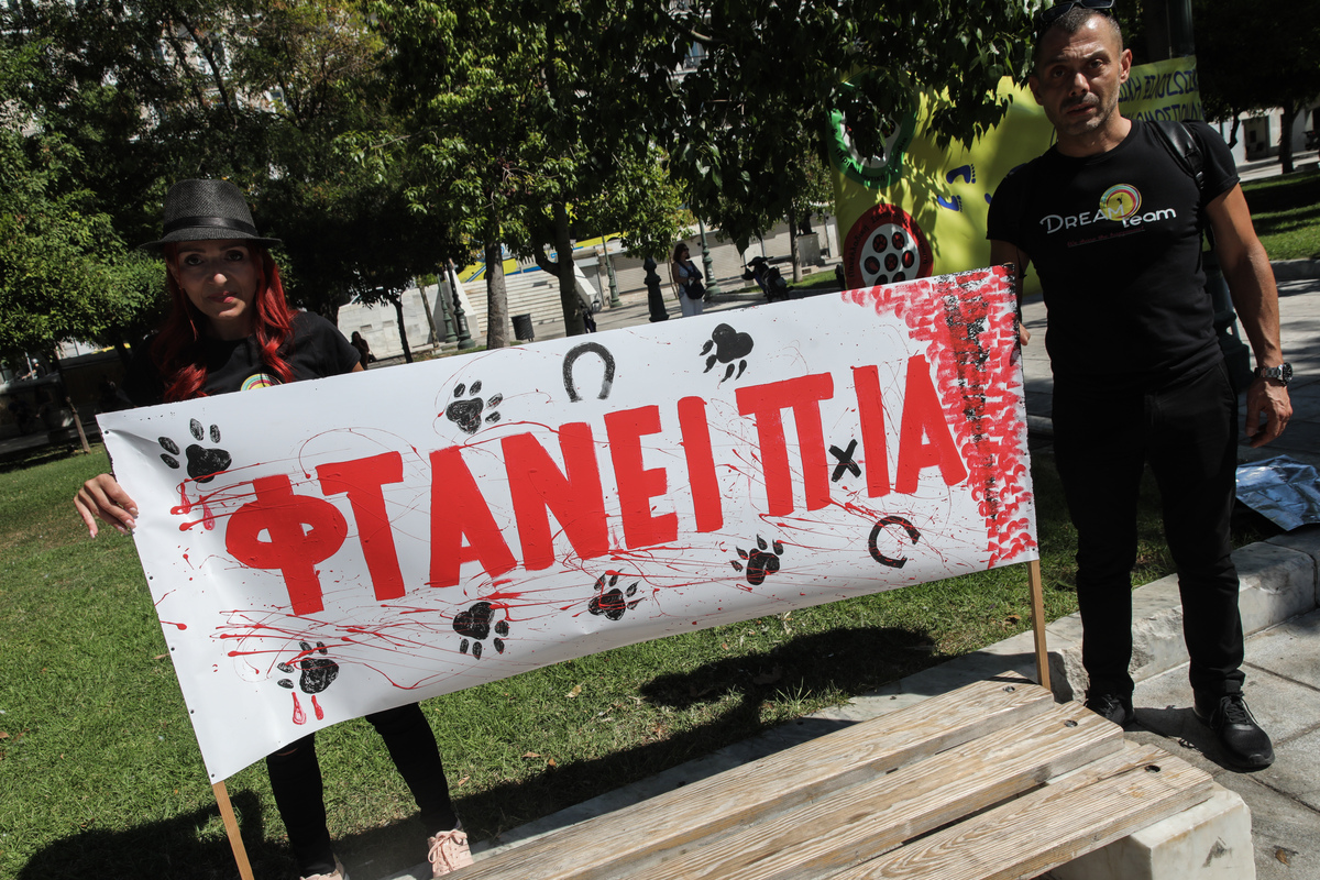 διαμαρτυρία για τη βία στα ζώα