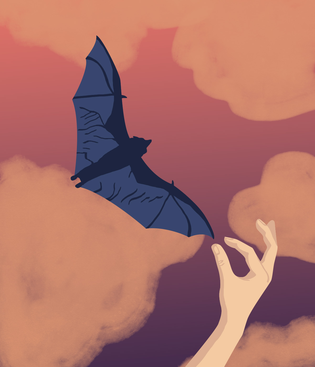 νυχτερίδες