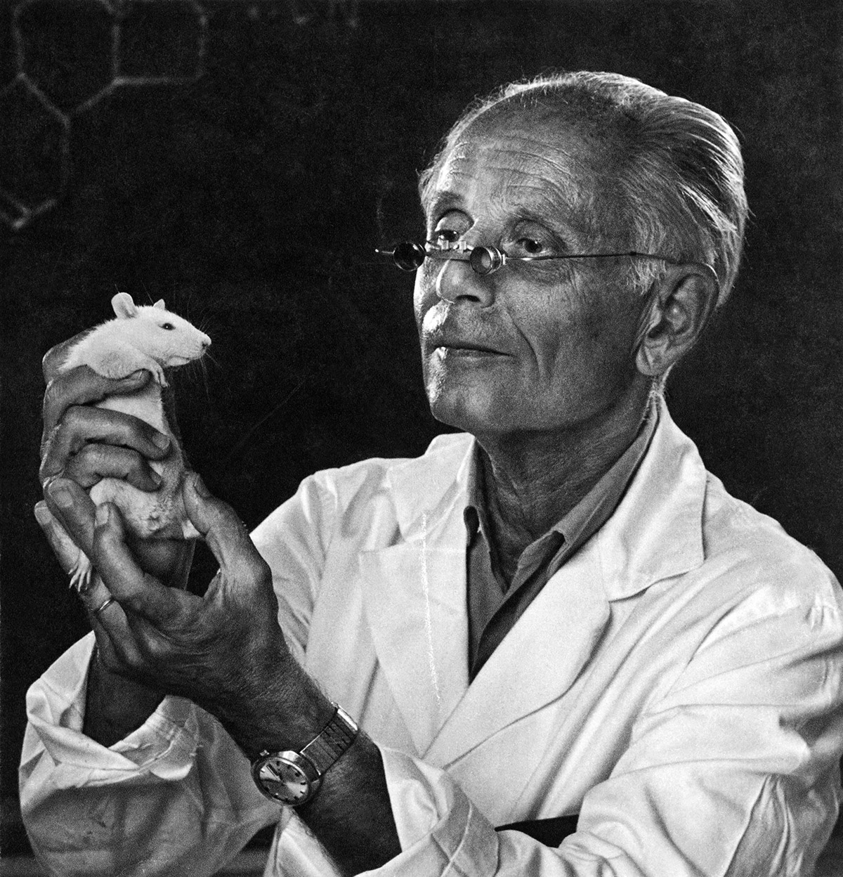 Στρες και ασθένειες