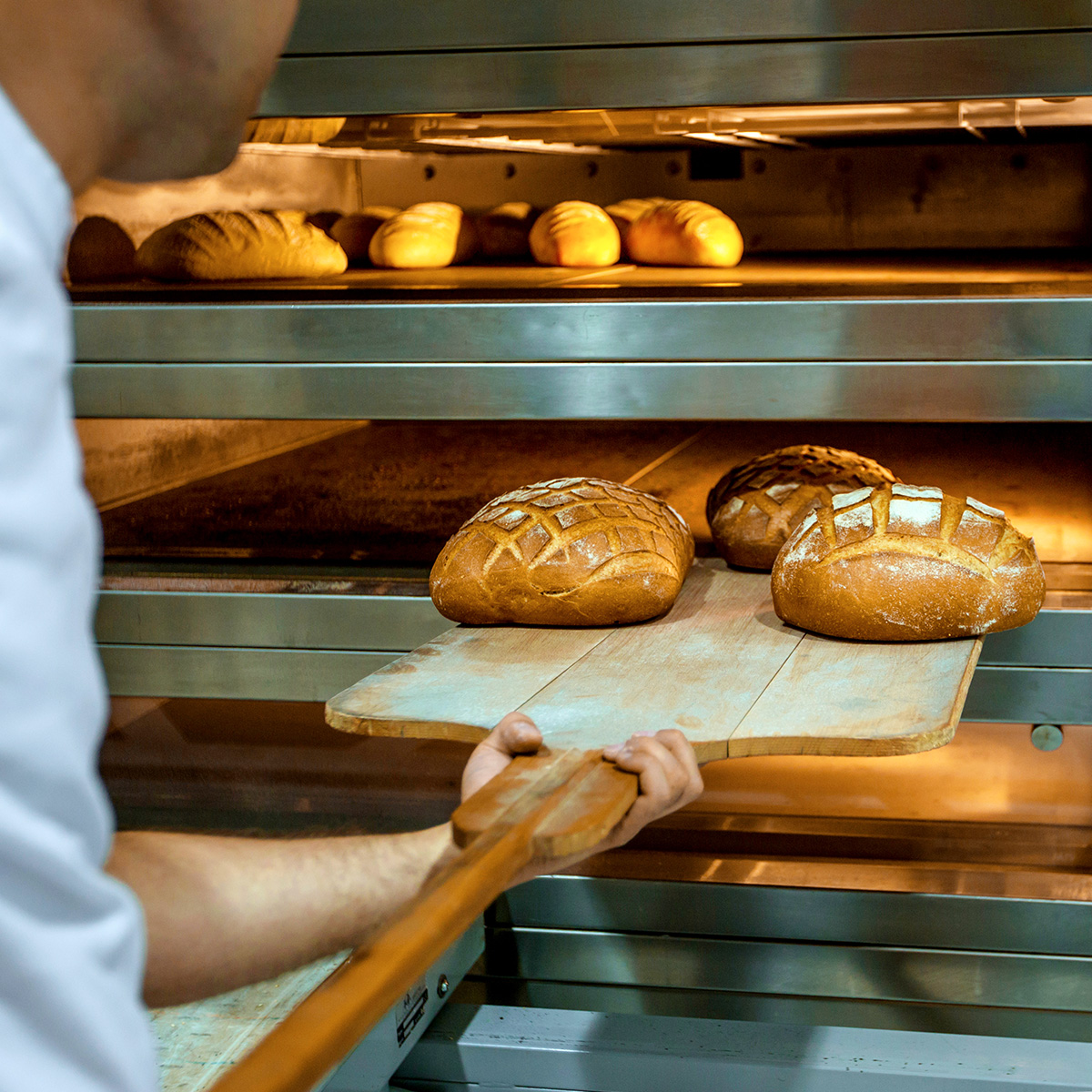 Ο Vaclav Smil μας εξηγεί τους βασικούς παράγοντες που καθορίζουν την επιβίωσή μας