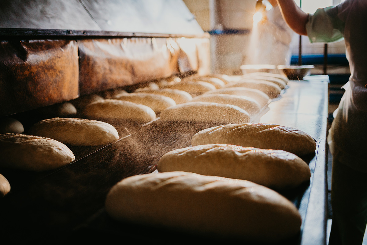 Ο Vaclav Smil μας εξηγεί τους βασικούς παράγοντες που καθορίζουν την επιβίωσή μας