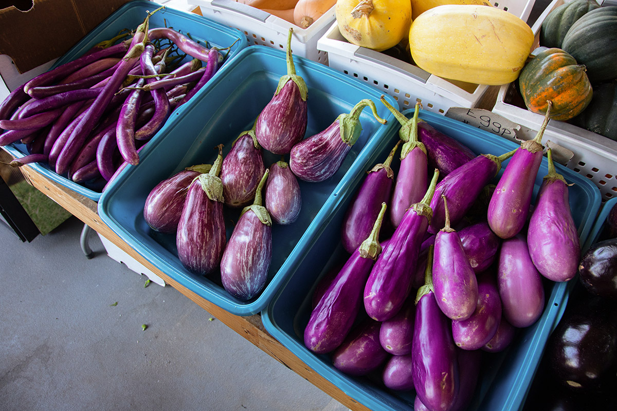 μελιτζάνες