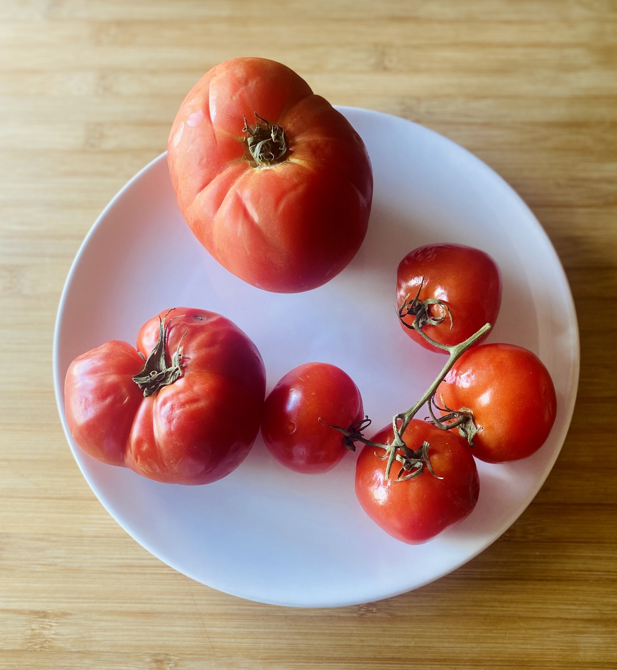 ντομάτες για πελτέ και σάλτσα
