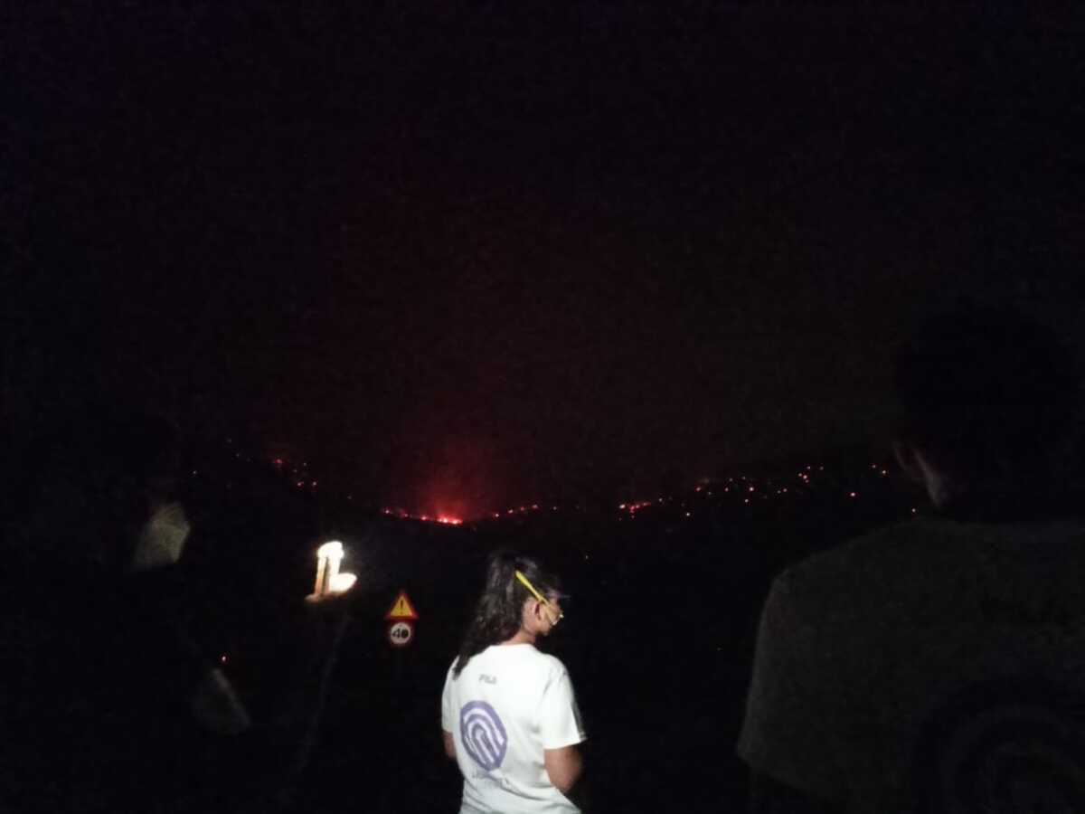 Πώς θα γίνω εθελοντής στη μάχη ενάντια στις πυρκαγιές