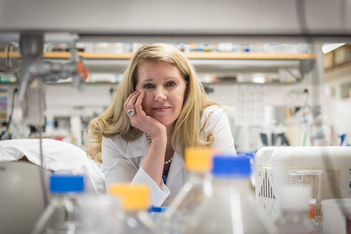 Αναπτύχθηκε στοχευμένη χημειοθεραπεία για συμπαγείς καρκινικούς όγκους