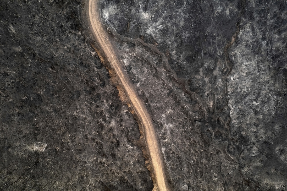 Για τους μετανάστες που χάθηκαν στη Δαδιά