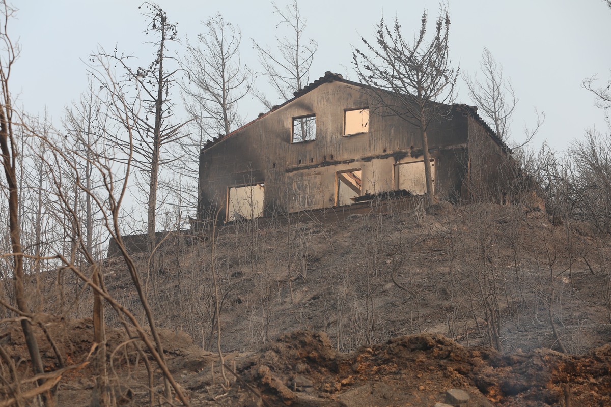 πυρκαγιά στον Έβρο
