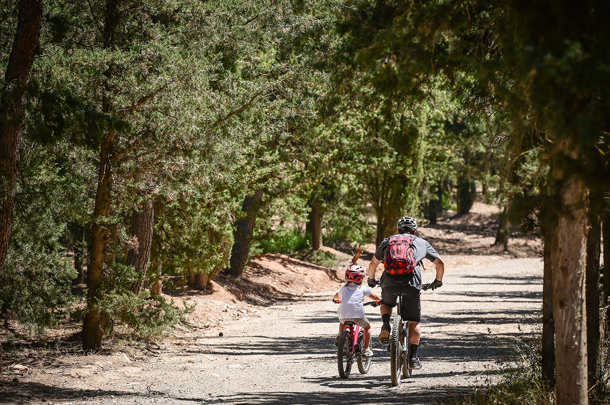 Αύγουστος στην πόλη: Δροσιζόμαστε και κάνουμε πικ-νικ στα πάρκα της Αττικής