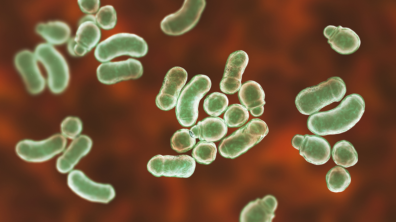 ποικιλόχρους πιτυρίαση