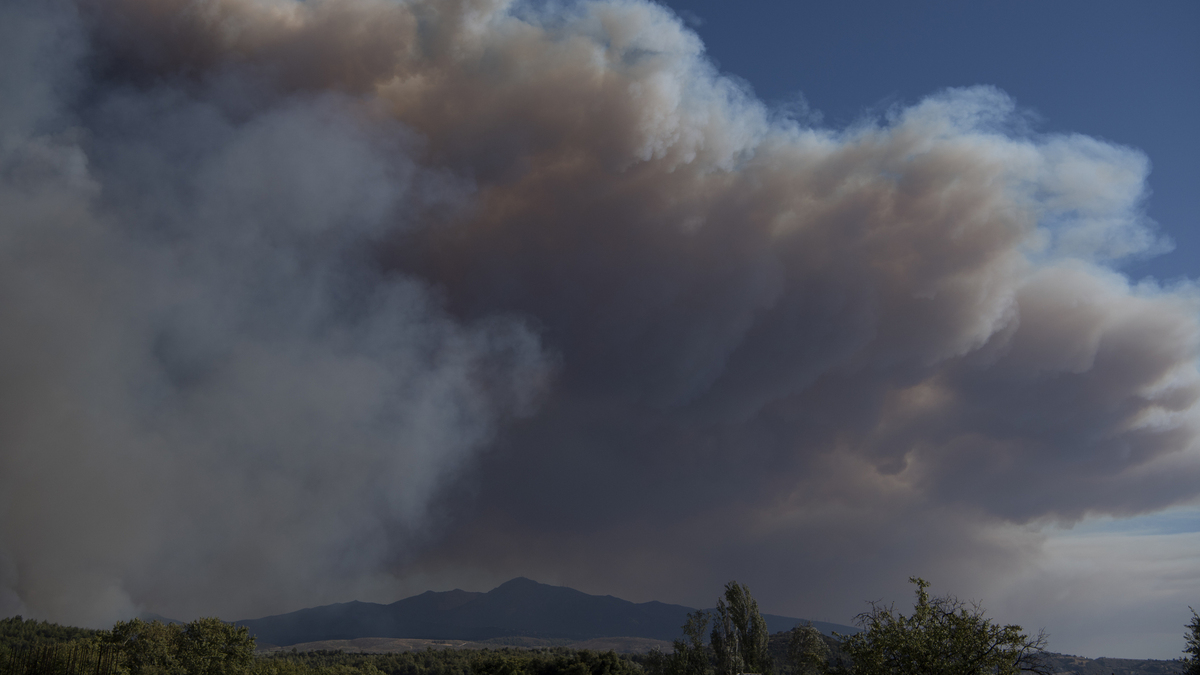 Πυρκαγιές στην Αττική: Πώς προστατευόμαστε από τον καπνό