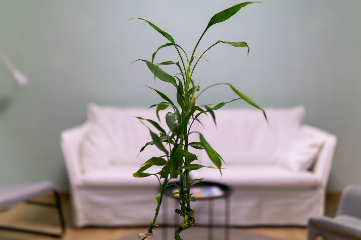 Μονάδα υποστήριξης για παιδιά με καρκίνο