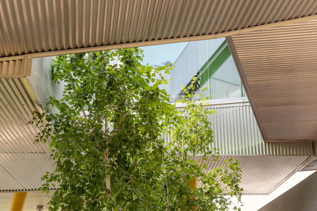 δεντρόσπιτο