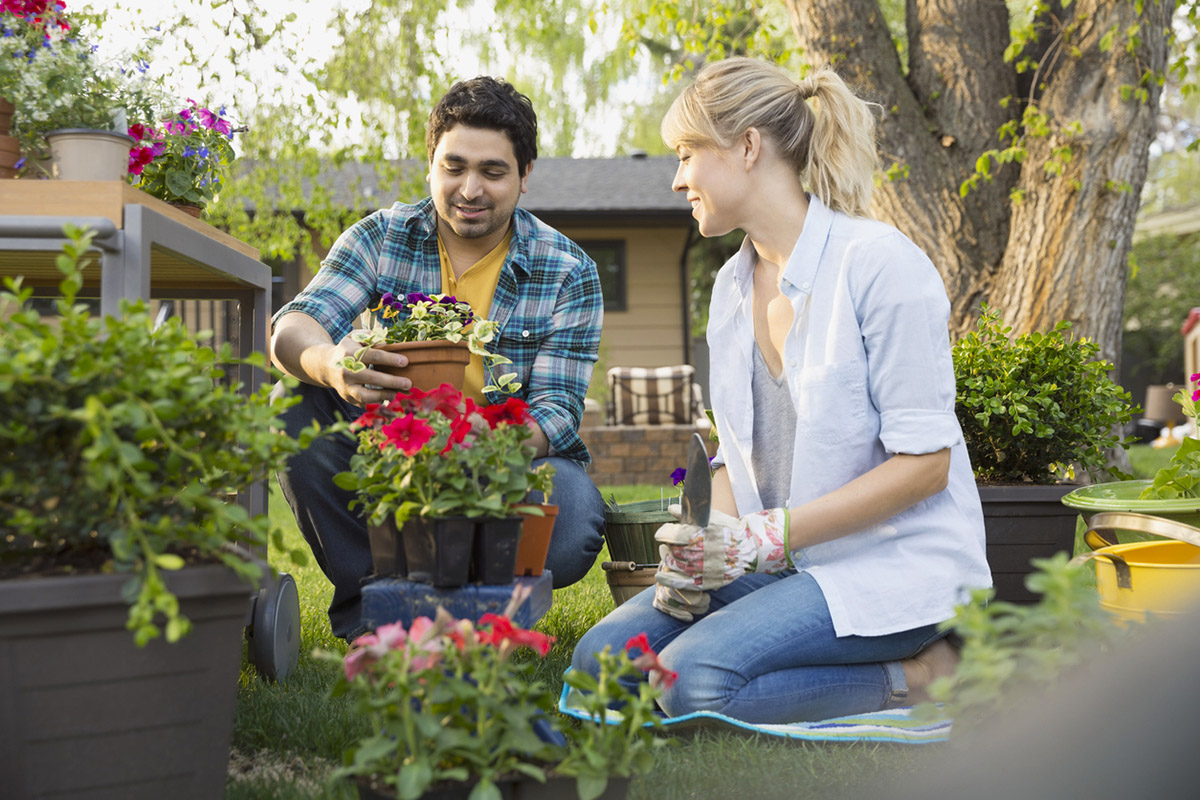 αρχάριος κηπουρός