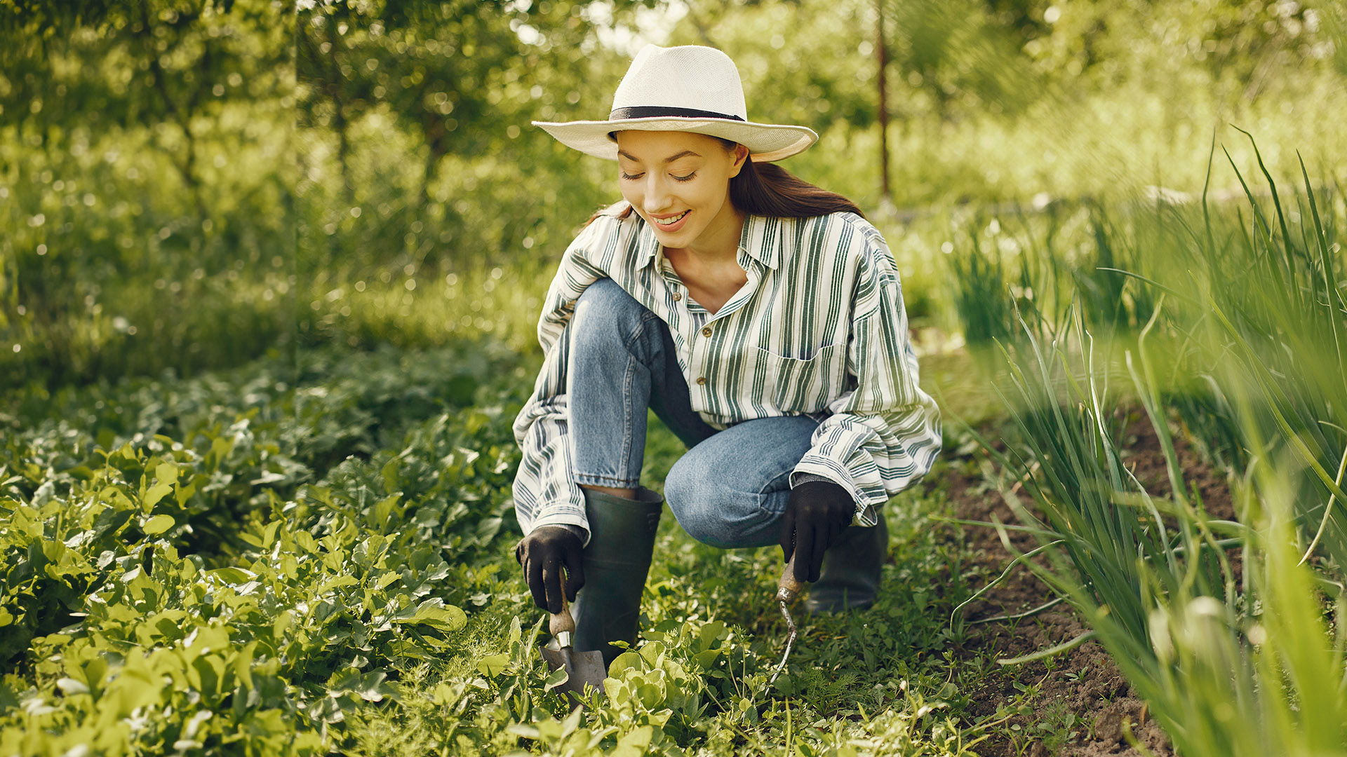 αρχάριος κηπουρός