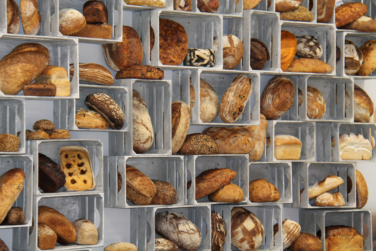 φυτικές ίνες