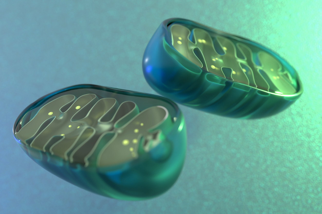 Υγιεινές τροφές 