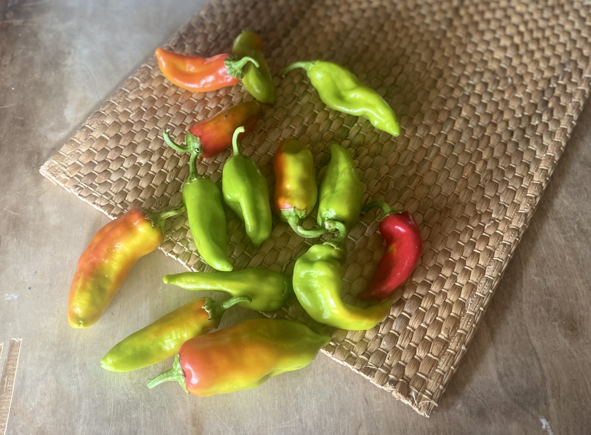 πιπεριές συνοδευτικό 