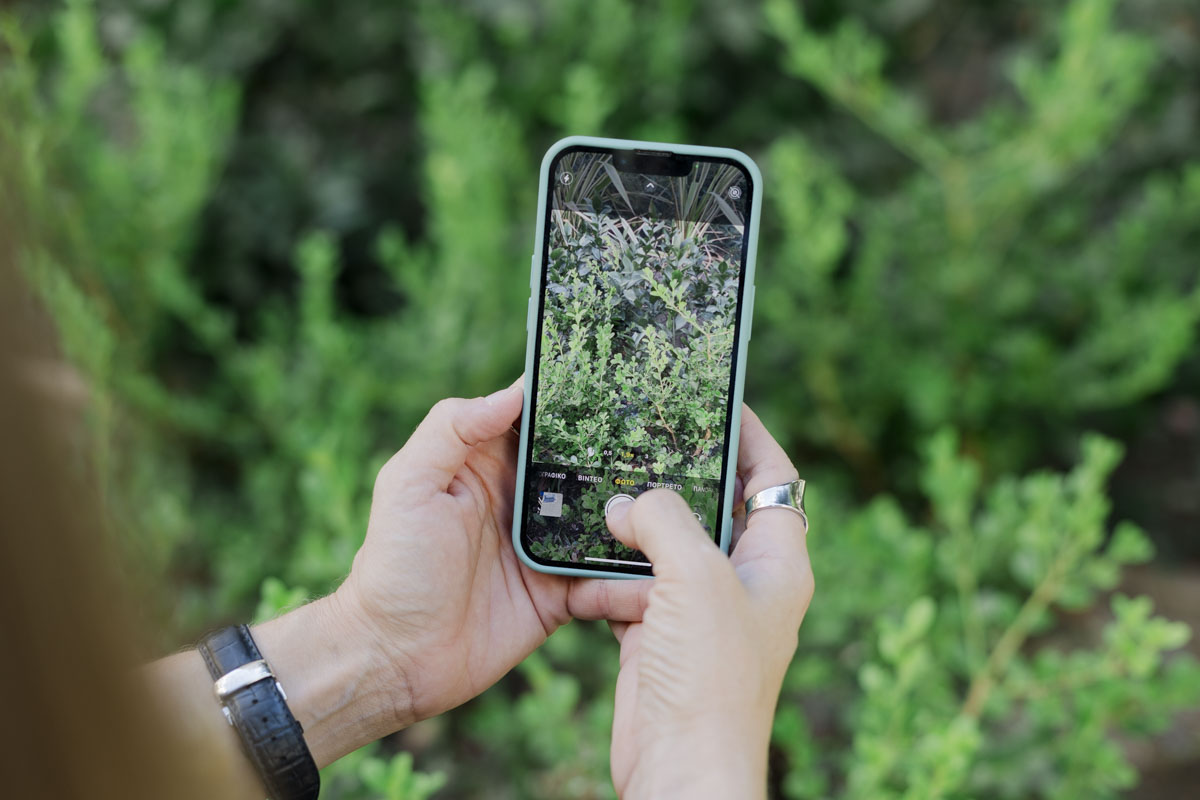 πάρκα τσέπης