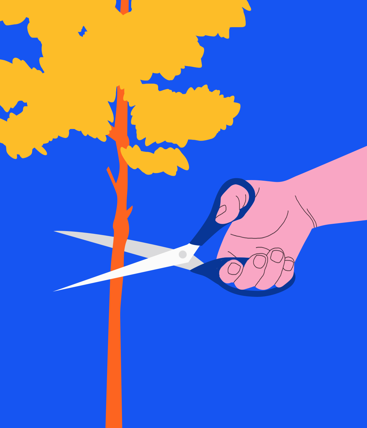 έλλειμμα ενσυναίσθησης