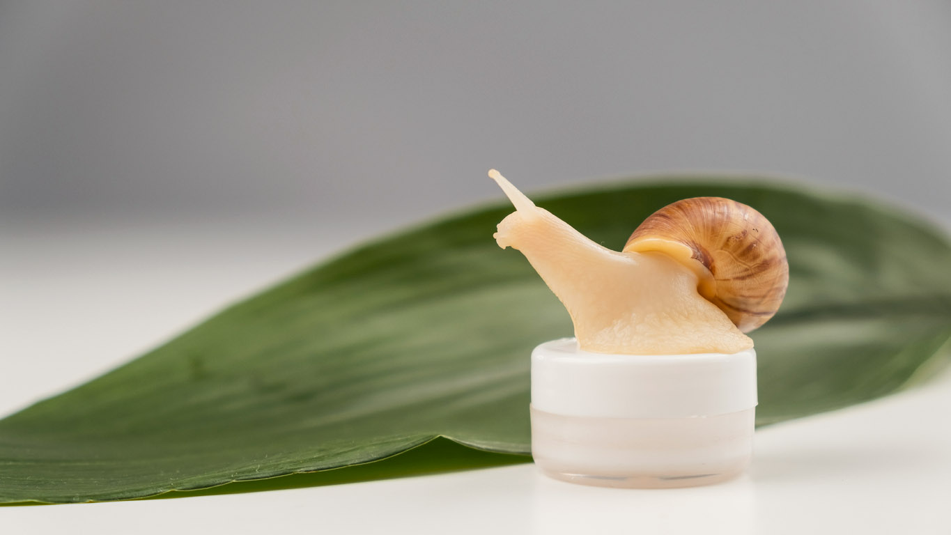 βλέννα σαλιγκαριού