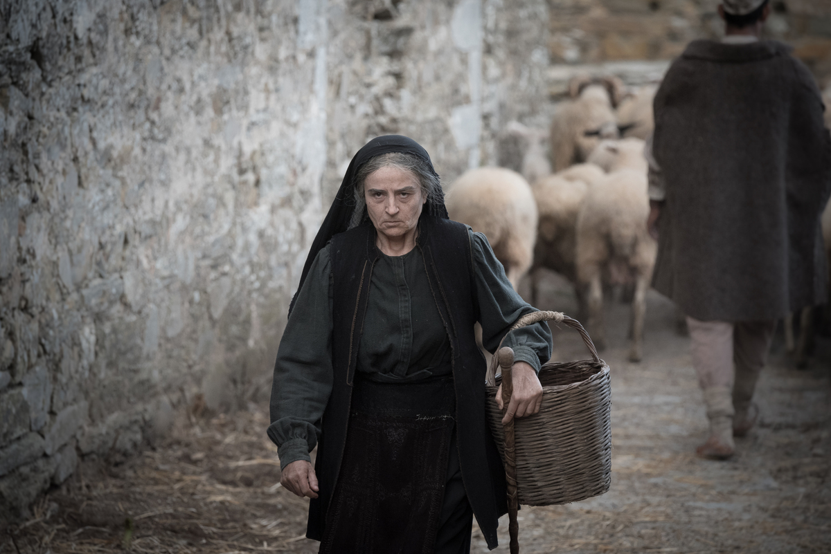 Καρυοφυλλιά Καραμπέτη