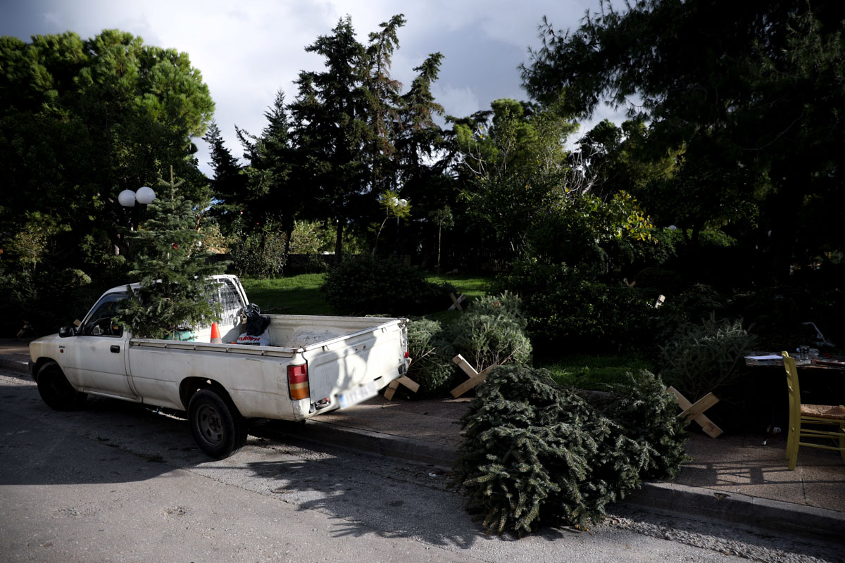 Υπαίθρια αγορά χριστουγεννιάτικων δέντρων