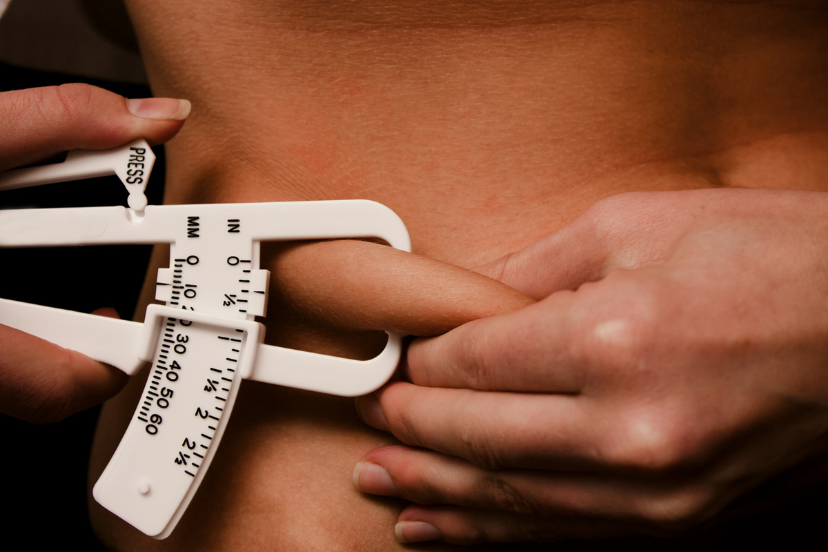 σύσταση σώματος