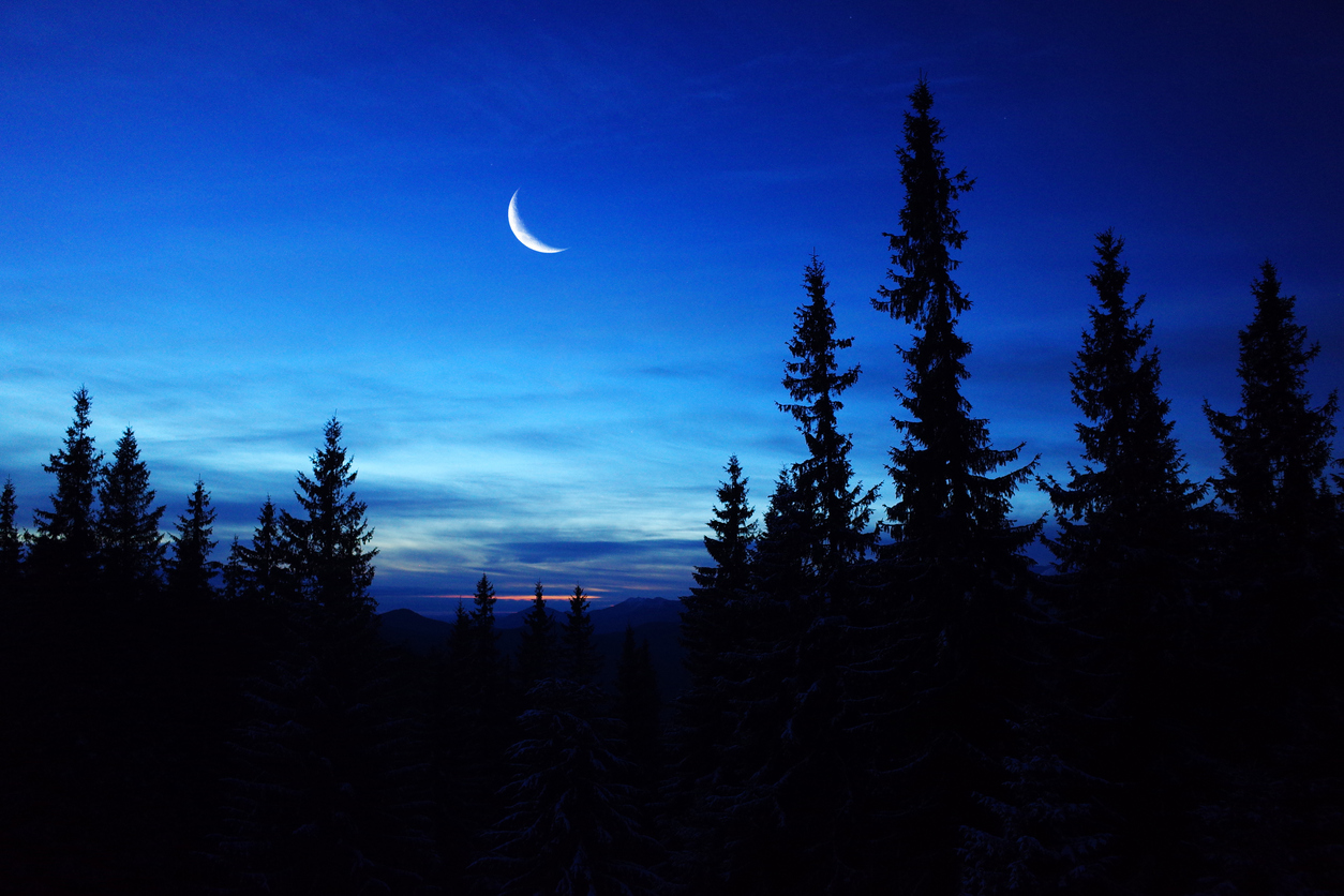 Νιώθεις κι εσύ ότι ο Ιανουάριος διαρκεί για πάντα;